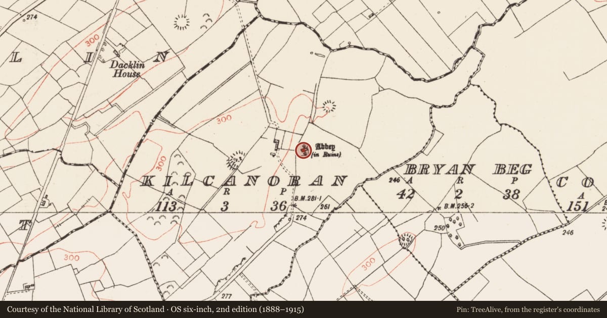 Ordnance Survey six-inch map, 2nd edition (1888–1915) covering the location of Church, Kilcanoran, County Roscommon, with a pin at the register's coordinates