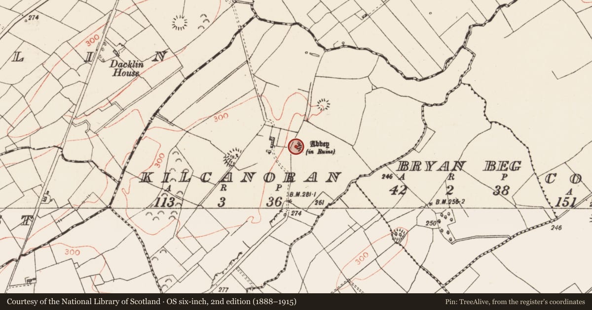 Ordnance Survey six-inch map, 2nd edition (1888–1915) covering the location of Ecclesiastical enclosure, Kilcanoran, County Roscommon, with a pin at the register's coordinates