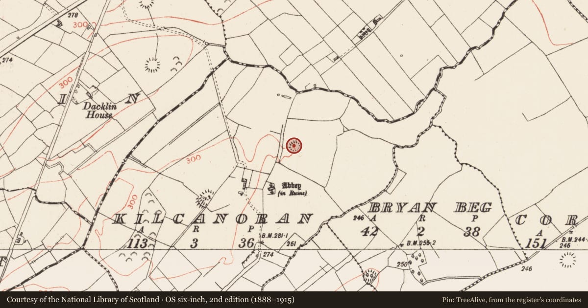 Ordnance Survey six-inch map, 2nd edition (1888–1915) covering the location of Ringfort - rath, Kilcanoran, County Roscommon, with a pin at the register's coordinates