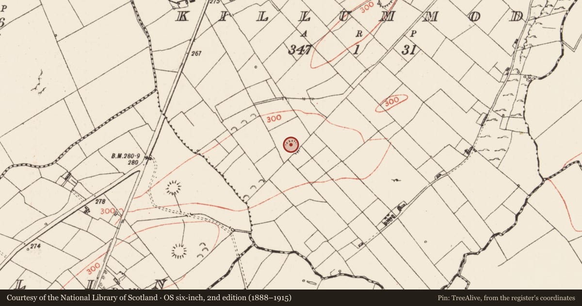 Ordnance Survey six-inch map, 2nd edition (1888–1915) covering the location of Ringfort - rath, Killummod, County Roscommon, with a pin at the register's coordinates