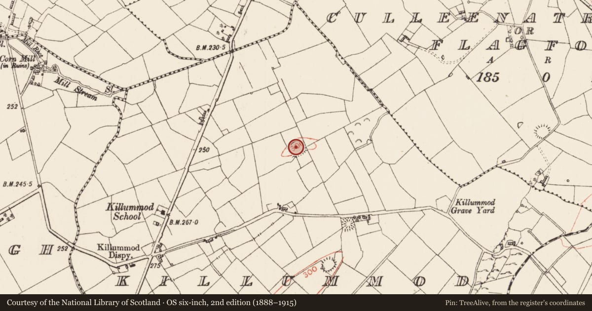 Ordnance Survey six-inch map, 2nd edition (1888–1915) covering the location of Ringfort - rath, Killummod, County Roscommon, with a pin at the register's coordinates
