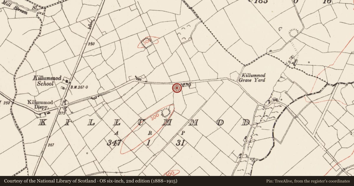 Ordnance Survey six-inch map, 2nd edition (1888–1915) covering the location of Ringfort - rath, Killummod, County Roscommon, with a pin at the register's coordinates