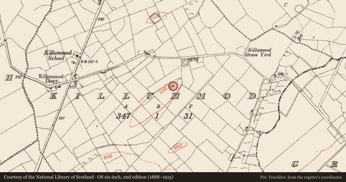 Ordnance Survey six-inch map, 2nd edition (1888–1915) covering the location of Ringfort - rath, Killummod, County Roscommon, with a pin at the register's coordinates