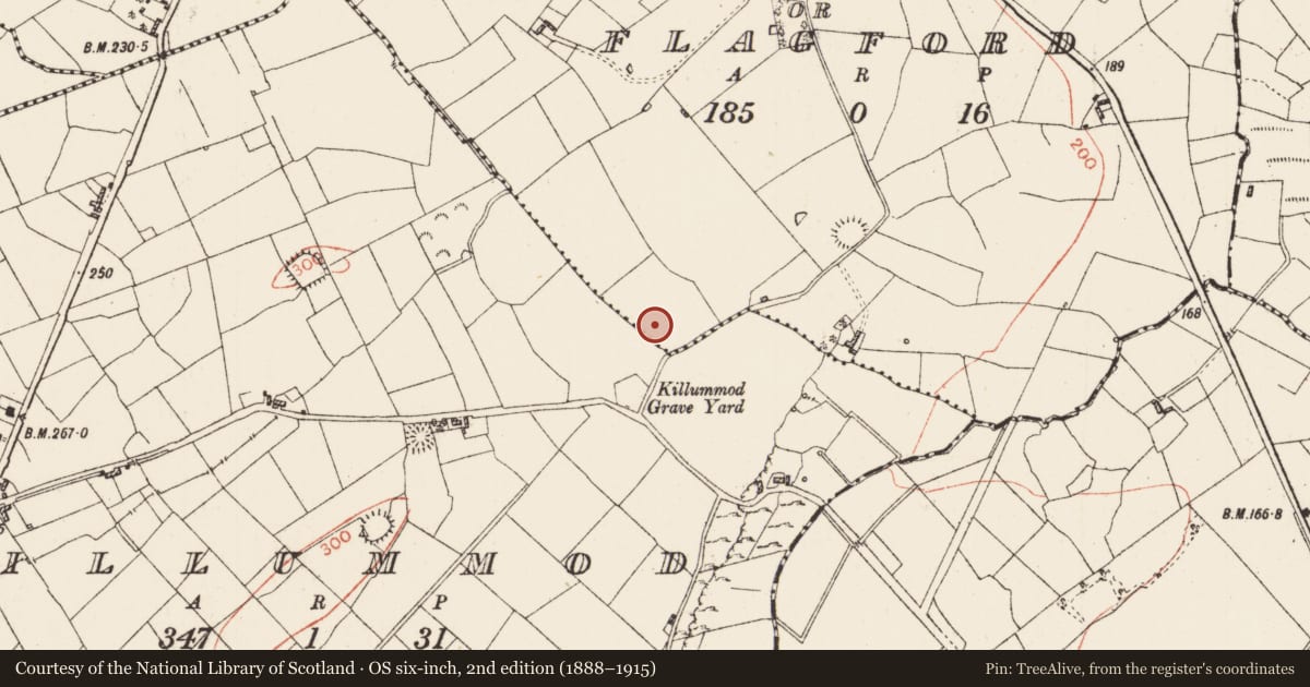 Ordnance Survey six-inch map, 2nd edition (1888–1915) covering the location of Enclosure, Culleenatreen Or Flagford, County Roscommon, with a pin at the register's coordinates