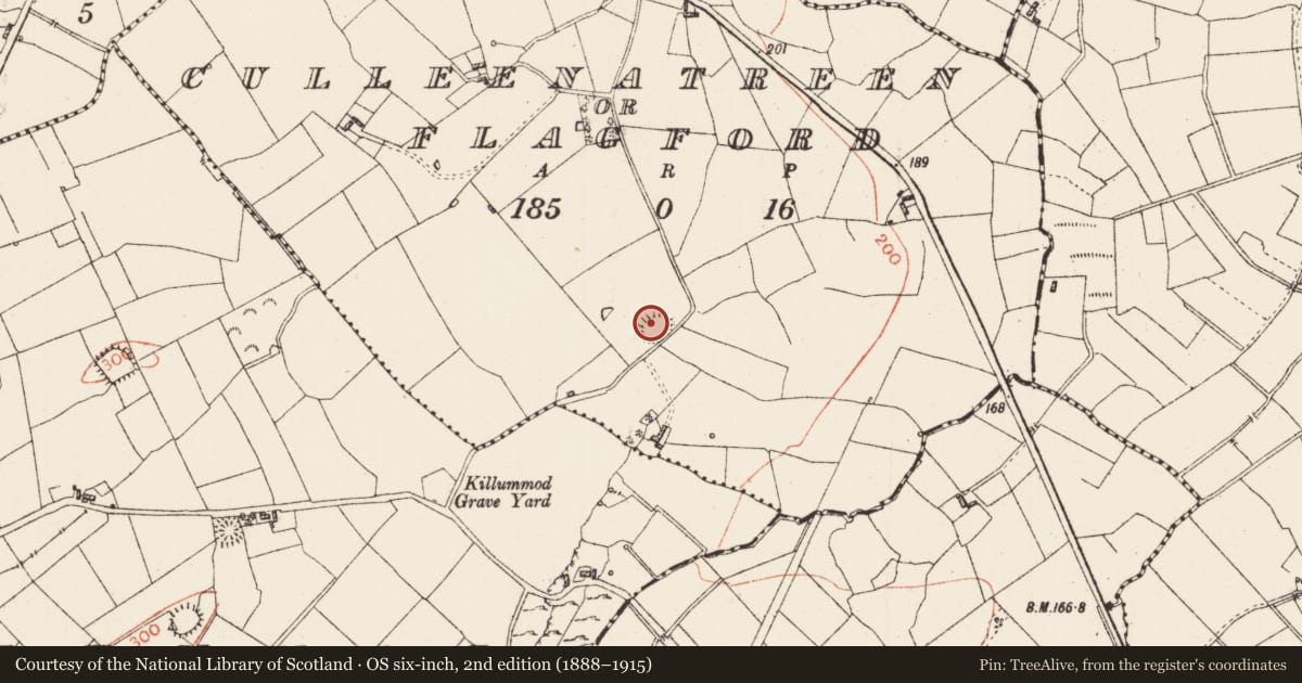 Ordnance Survey six-inch map, 2nd edition (1888–1915) covering the location of Ringfort - rath, Culleenatreen Or Flagford, County Roscommon, with a pin at the register's coordinates