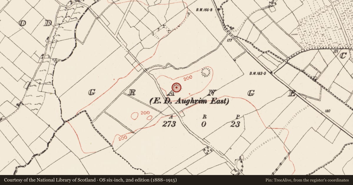 Ordnance Survey six-inch map, 2nd edition (1888–1915) covering the location of Ringfort - rath, Grange, County Roscommon, with a pin at the register's coordinates