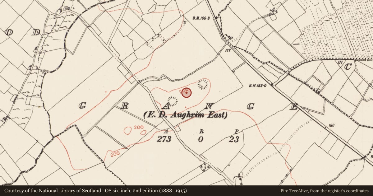 Ordnance Survey six-inch map, 2nd edition (1888–1915) covering the location of Ringfort - rath, Grange, County Roscommon, with a pin at the register's coordinates