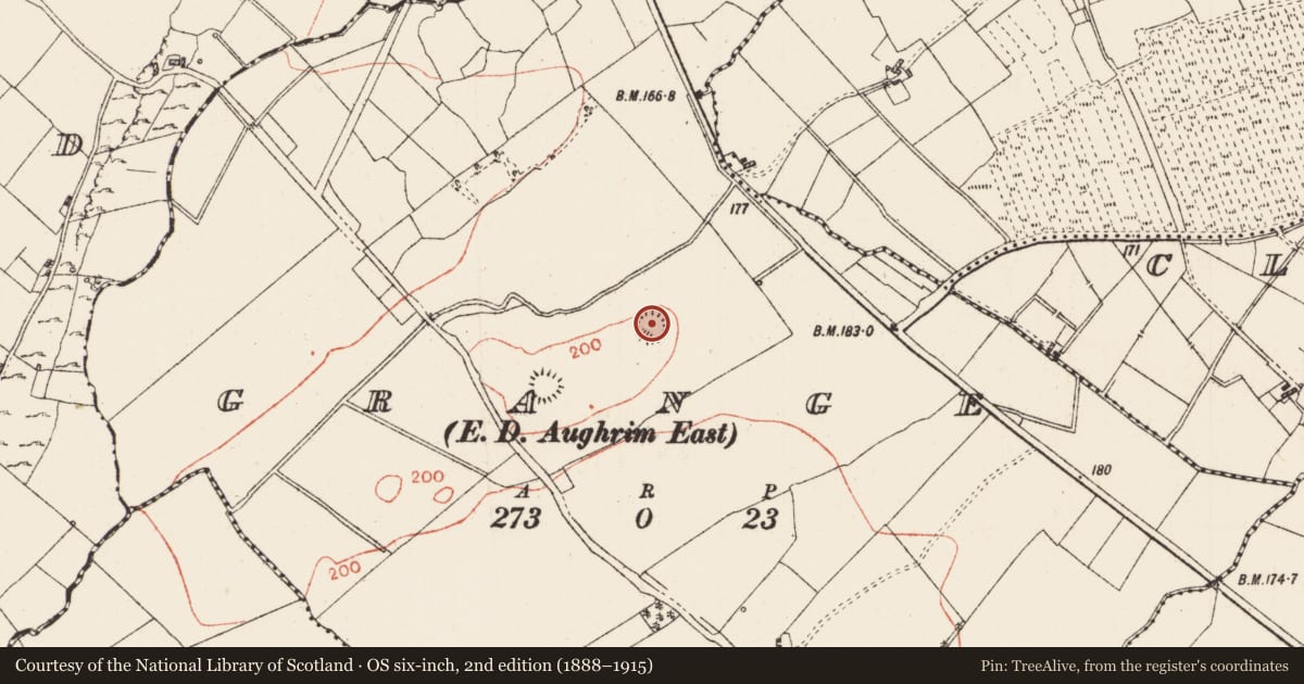 Ordnance Survey six-inch map, 2nd edition (1888–1915) covering the location of Ringfort - rath, Grange, County Roscommon, with a pin at the register's coordinates