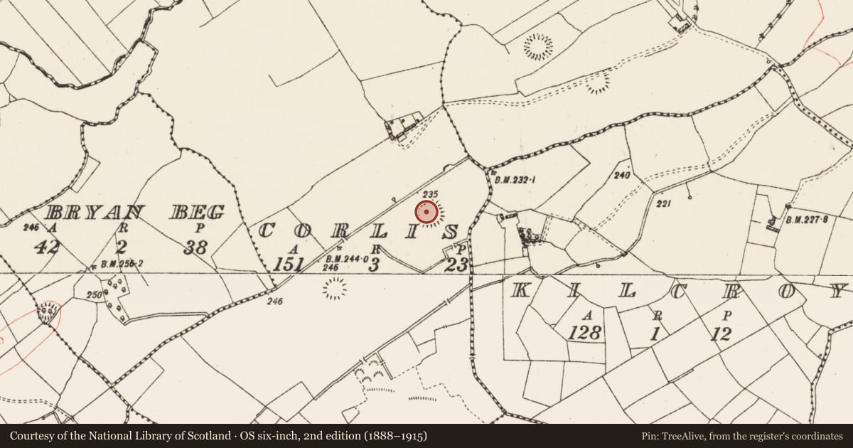 Ordnance Survey six-inch map, 2nd edition (1888–1915) covering the location of Ringfort - rath, Corlis, County Roscommon, with a pin at the register's coordinates