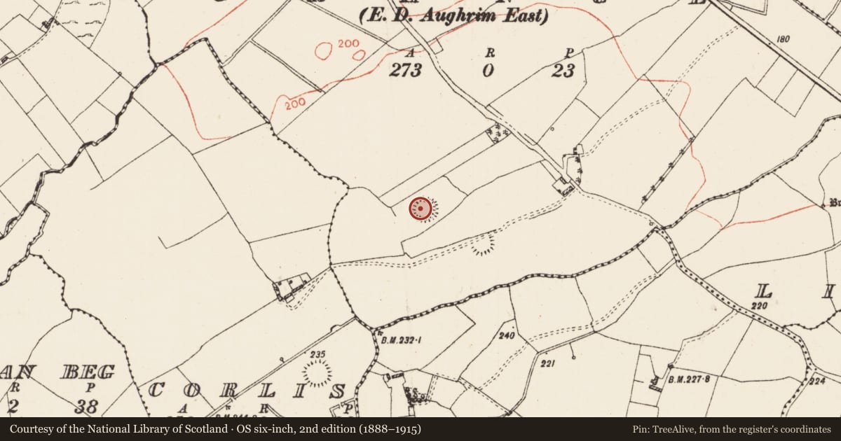 Ordnance Survey six-inch map, 2nd edition (1888–1915) covering the location of Ringfort - rath, Grange, County Roscommon, with a pin at the register's coordinates