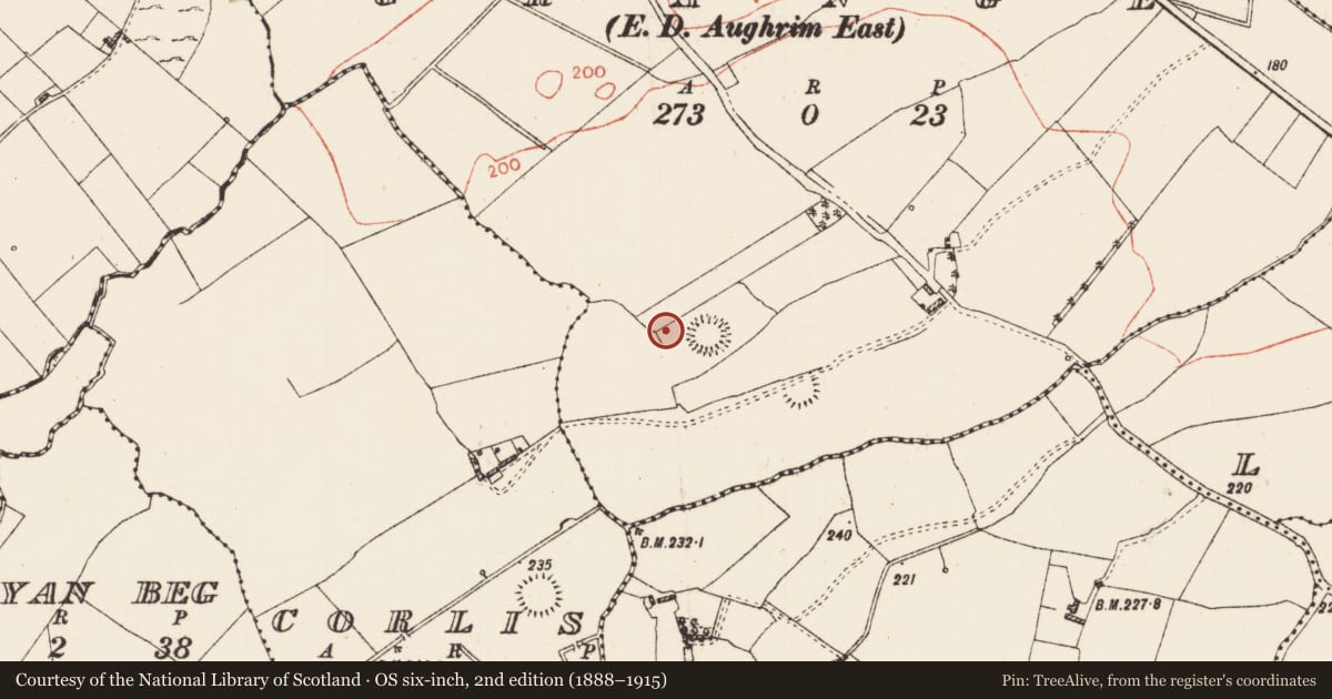 Ordnance Survey six-inch map, 2nd edition (1888–1915) covering the location of Enclosure, Grange, County Roscommon, with a pin at the register's coordinates
