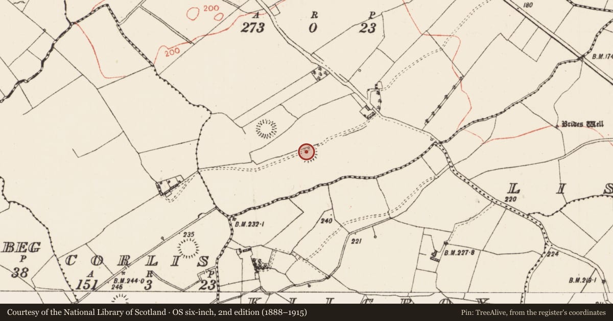 Ordnance Survey six-inch map, 2nd edition (1888–1915) covering the location of Moated site, Grange, County Roscommon, with a pin at the register's coordinates