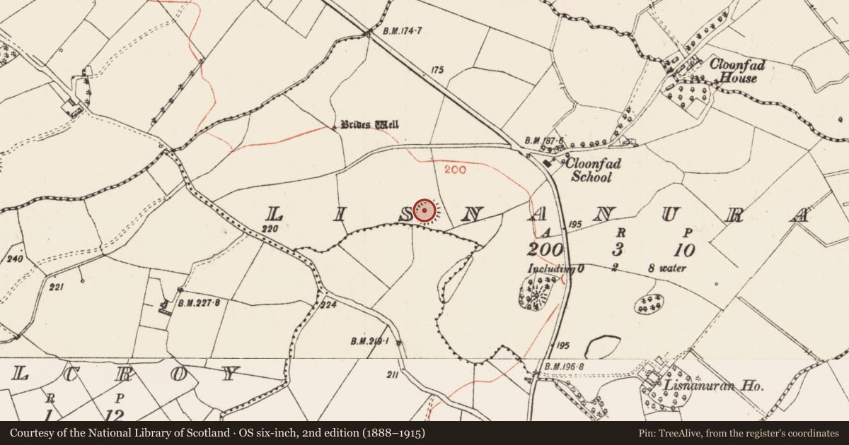 Ordnance Survey six-inch map, 2nd edition (1888–1915) covering the location of Ringfort - rath, Lisnanuran, County Roscommon, with a pin at the register's coordinates