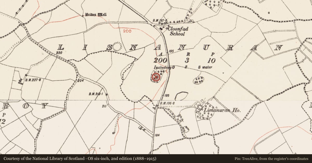 Ordnance Survey six-inch map, 2nd edition (1888–1915) covering the location of Ringfort - rath, Lisnanuran, County Roscommon, with a pin at the register's coordinates
