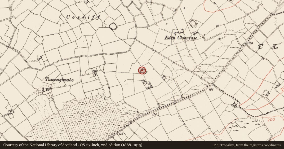 Ordnance Survey six-inch map, 2nd edition (1888–1915) covering the location of Ringfort - rath, Corry, County Roscommon, with a pin at the register's coordinates