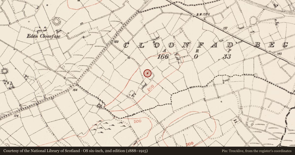 Ordnance Survey six-inch map, 2nd edition (1888–1915) covering the location of Ringfort - rath, Cloonfad Beg, County Roscommon, with a pin at the register's coordinates