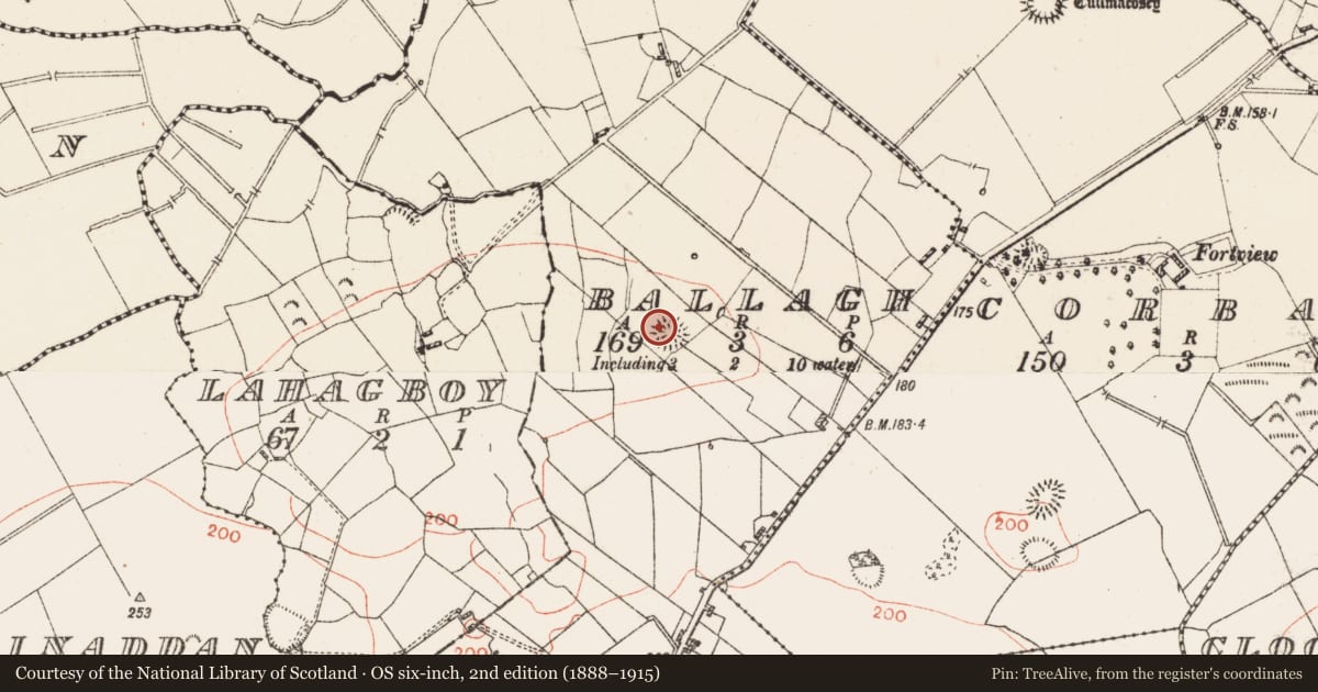 Ordnance Survey six-inch map, 2nd edition (1888–1915) covering the location of Ringfort - rath, Ballagh, County Roscommon, with a pin at the register's coordinates
