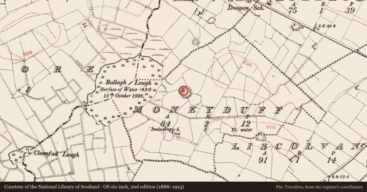 Ordnance Survey six-inch map, 2nd edition (1888–1915) covering the location of Ringfort - rath, Moneyduff, County Roscommon, with a pin at the register's coordinates