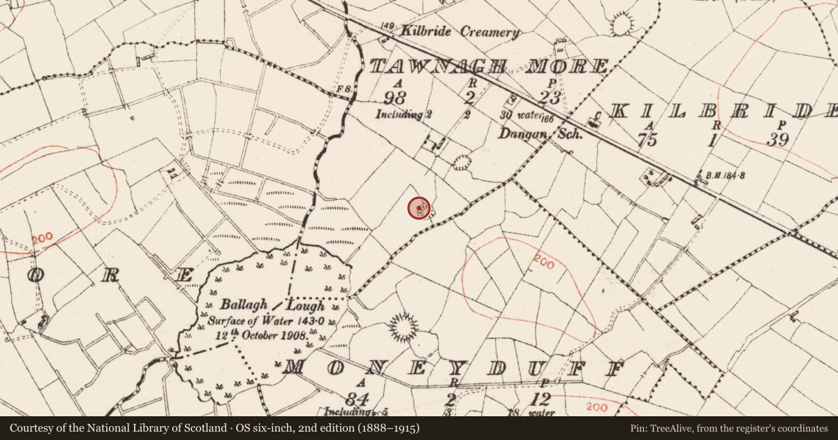 Ordnance Survey six-inch map, 2nd edition (1888–1915) covering the location of Ringfort - rath, Tawnagh More, County Roscommon, with a pin at the register's coordinates