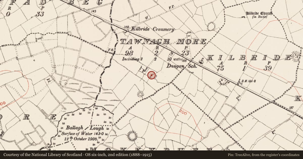 Ordnance Survey six-inch map, 2nd edition (1888–1915) covering the location of Ringfort - rath, Tawnagh More, County Roscommon, with a pin at the register's coordinates