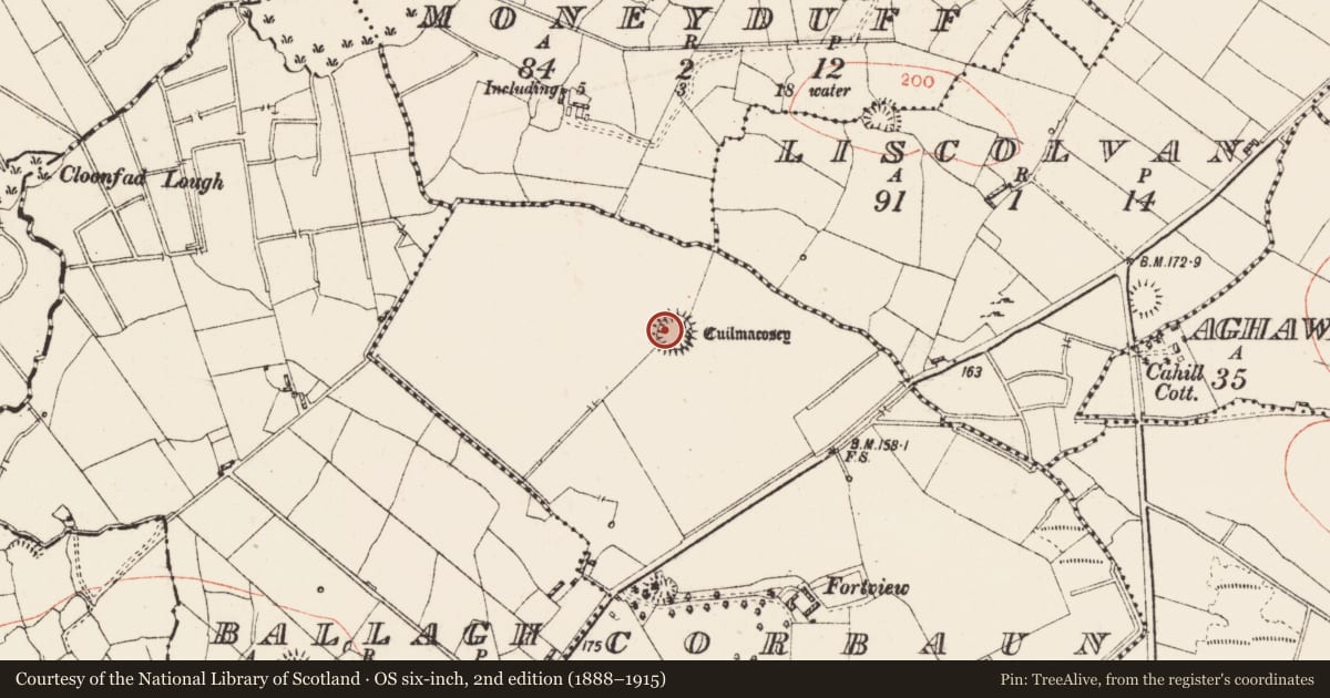 Ordnance Survey six-inch map, 2nd edition (1888–1915) covering the location of Ringfort - rath, Corbaun, County Roscommon, with a pin at the register's coordinates