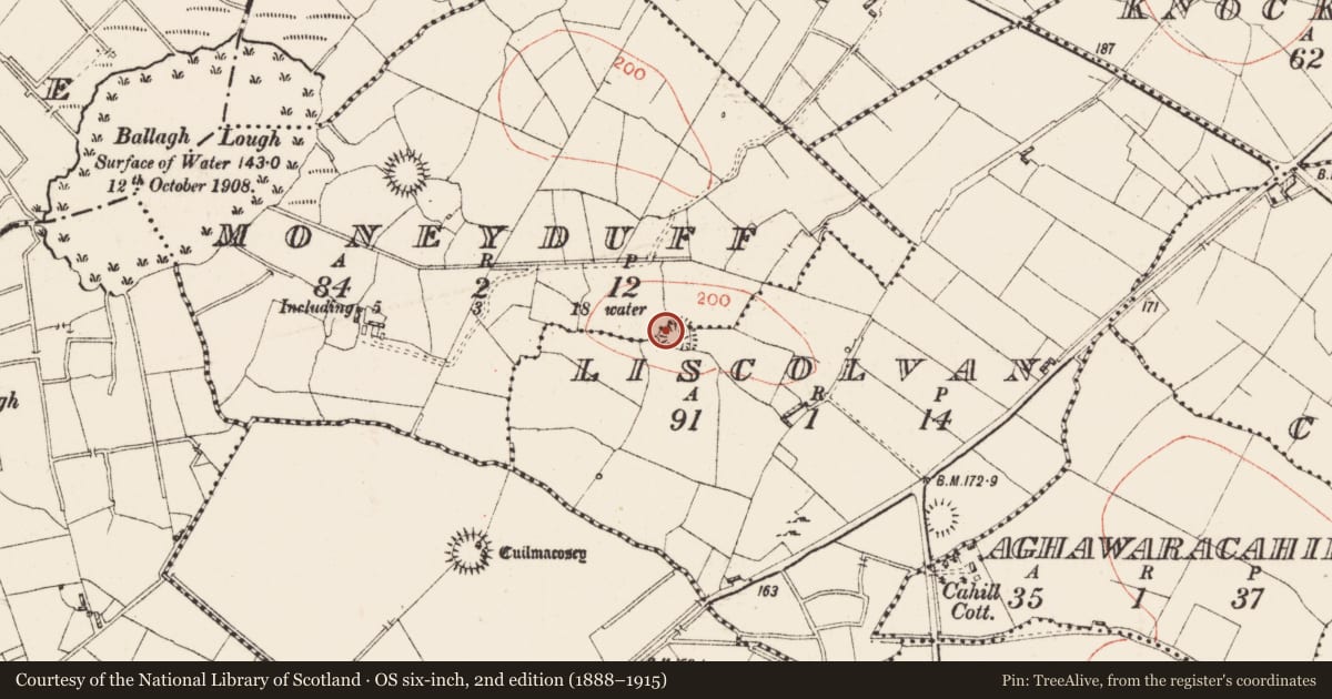 Ordnance Survey six-inch map, 2nd edition (1888–1915) covering the location of Ringfort - rath, Liscolvan, County Roscommon, with a pin at the register's coordinates