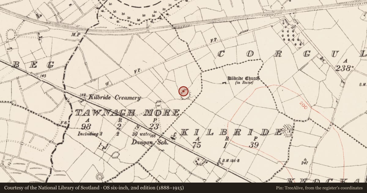 Ordnance Survey six-inch map, 2nd edition (1888–1915) covering the location of Ringfort - rath, Tawnagh More, County Roscommon, with a pin at the register's coordinates