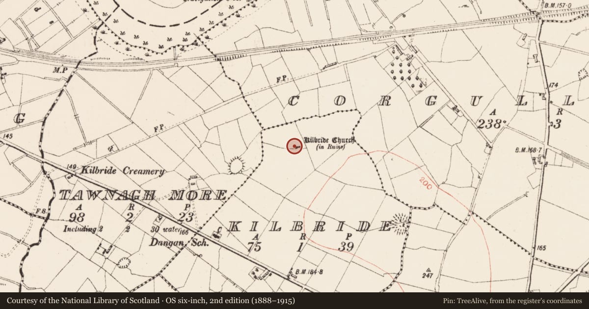 Ordnance Survey six-inch map, 2nd edition (1888–1915) covering the location of Church, Kilbride, County Roscommon, with a pin at the register's coordinates