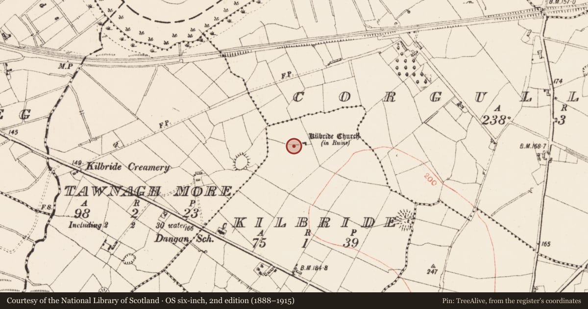 Ordnance Survey six-inch map, 2nd edition (1888–1915) covering the location of Graveyard, Kilbride, County Roscommon, with a pin at the register's coordinates