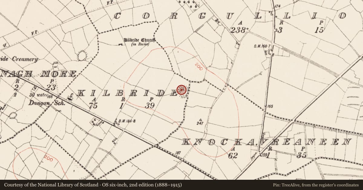 Ordnance Survey six-inch map, 2nd edition (1888–1915) covering the location of Ringfort - rath, Kilbride, County Roscommon, with a pin at the register's coordinates