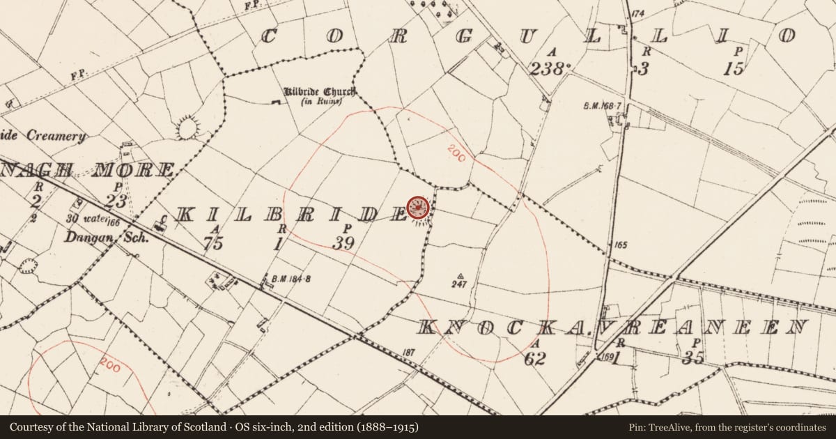Ordnance Survey six-inch map, 2nd edition (1888–1915) covering the location of Souterrain, Kilbride, County Roscommon, with a pin at the register's coordinates