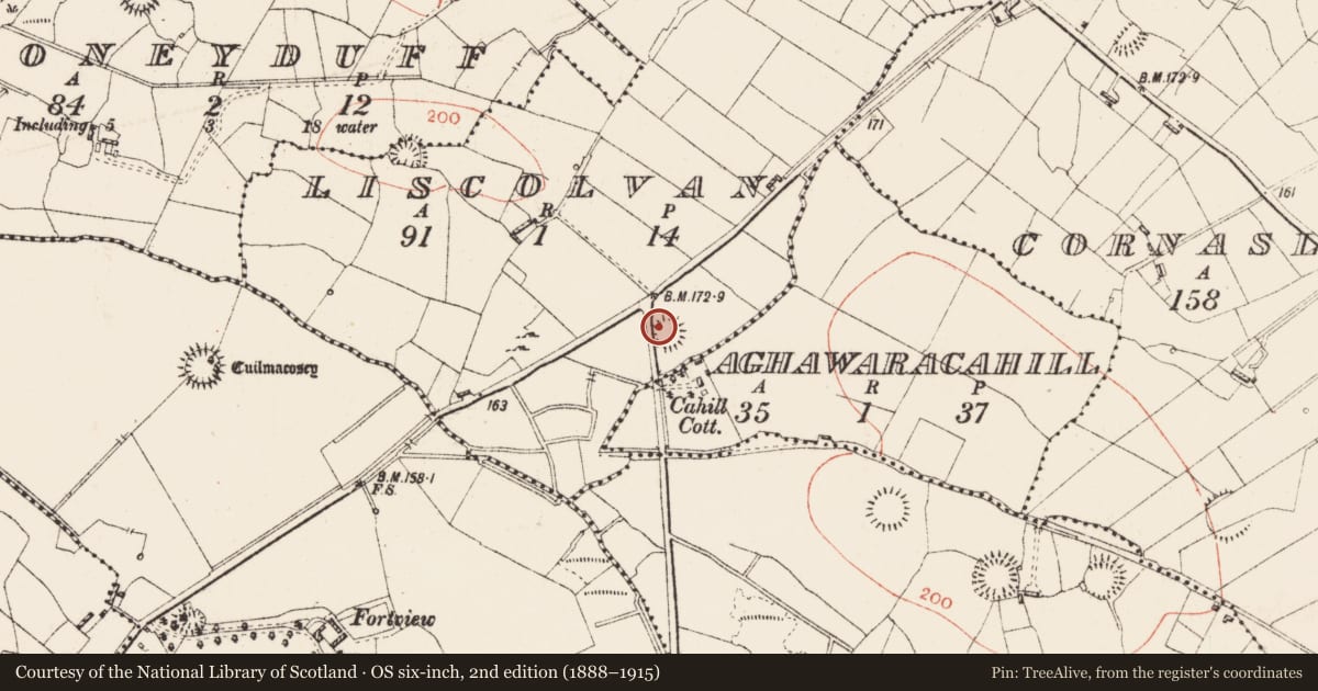 Ordnance Survey six-inch map, 2nd edition (1888–1915) covering the location of Ringfort - rath, Liscolvan, County Roscommon, with a pin at the register's coordinates