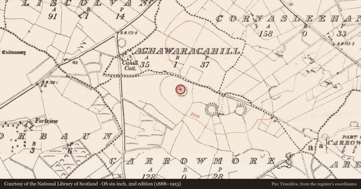 Ordnance Survey six-inch map, 2nd edition (1888–1915) covering the location of Ringfort - rath, Carrowmore, County Roscommon, with a pin at the register's coordinates