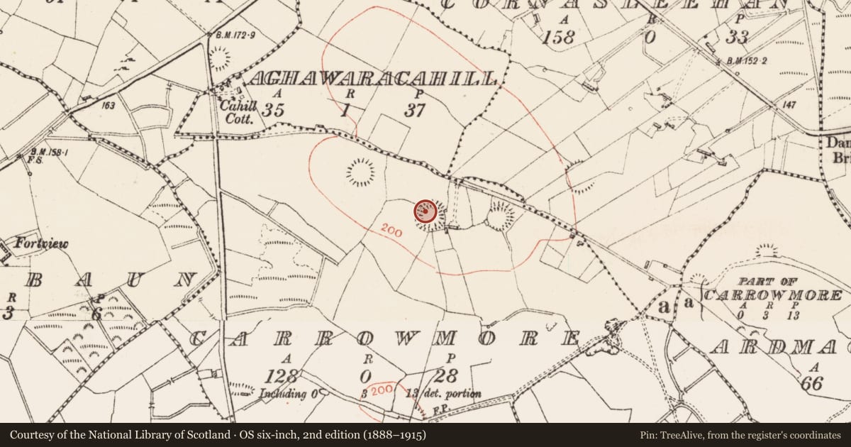 Ordnance Survey six-inch map, 2nd edition (1888–1915) covering the location of Ringfort - rath, Carrowmore, County Roscommon, with a pin at the register's coordinates