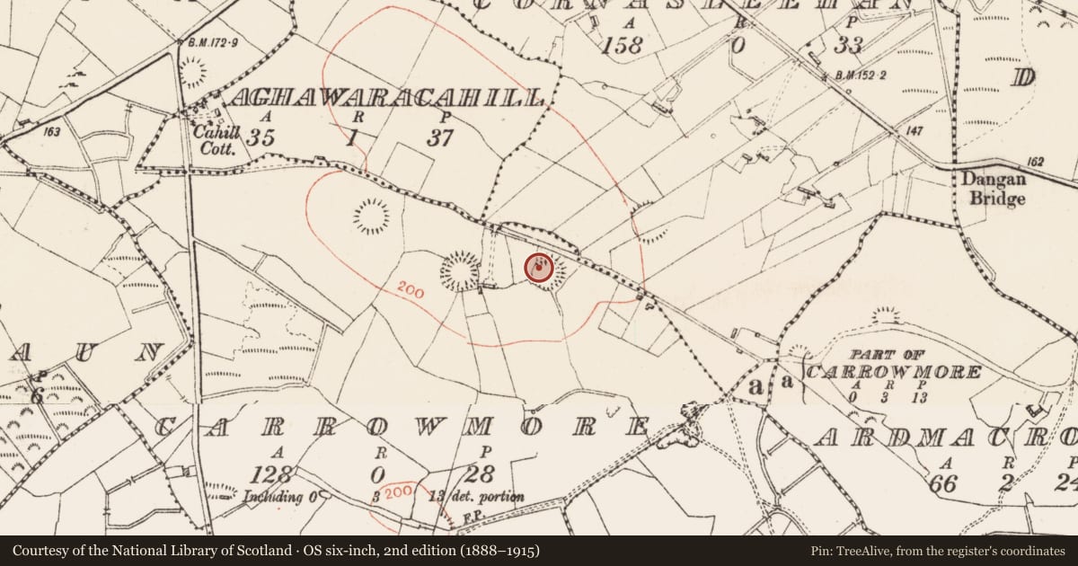 Ordnance Survey six-inch map, 2nd edition (1888–1915) covering the location of Ringfort - rath, Carrowmore, County Roscommon, with a pin at the register's coordinates