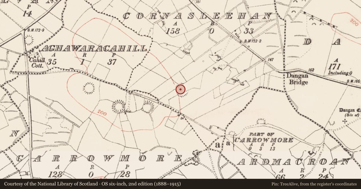 Ordnance Survey six-inch map, 2nd edition (1888–1915) covering the location of Ringfort - rath, Cornasleehan, County Roscommon, with a pin at the register's coordinates