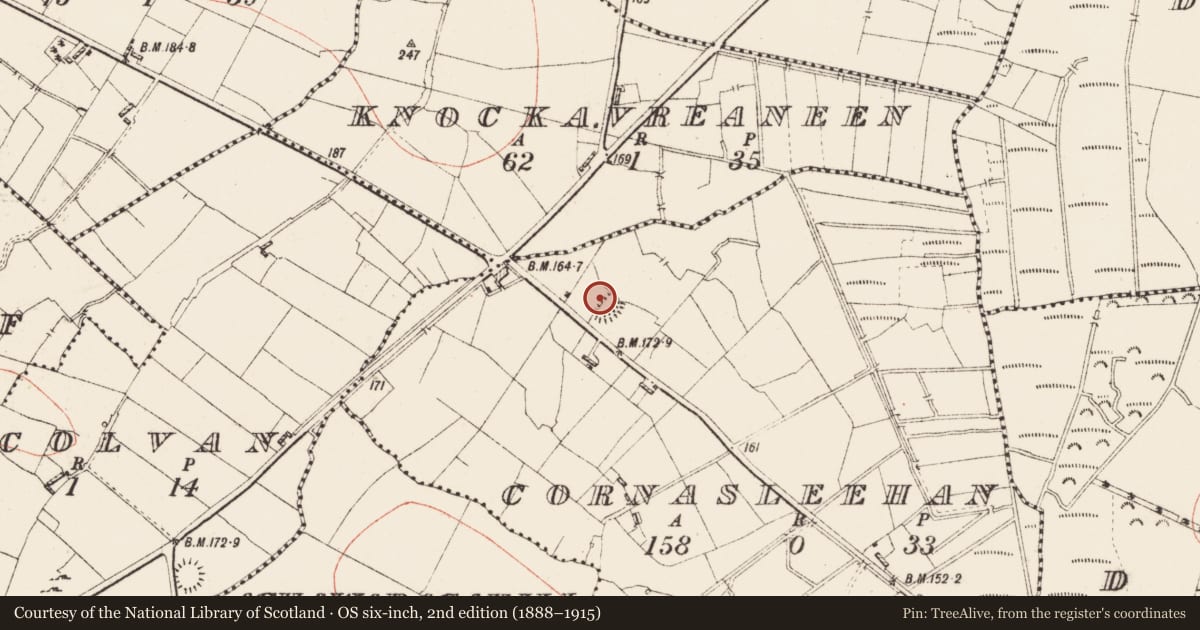 Ordnance Survey six-inch map, 2nd edition (1888–1915) covering the location of Ringfort - rath, Cornasleehan, County Roscommon, with a pin at the register's coordinates