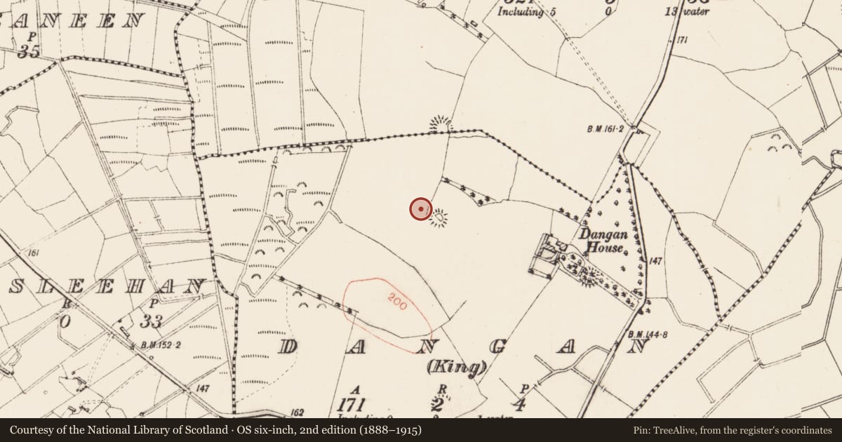 Ordnance Survey six-inch map, 2nd edition (1888–1915) covering the location of Ringfort - rath, Dangan (King), County Roscommon, with a pin at the register's coordinates