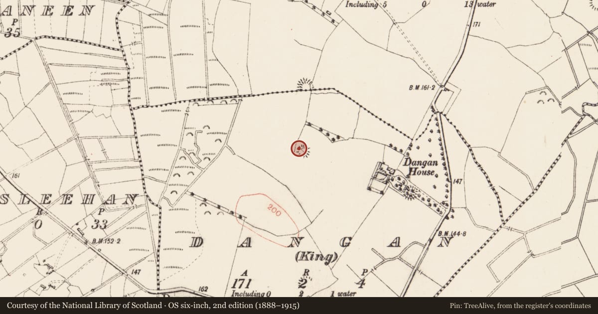 Ordnance Survey six-inch map, 2nd edition (1888–1915) covering the location of Ringfort - rath, Dangan (King), County Roscommon, with a pin at the register's coordinates