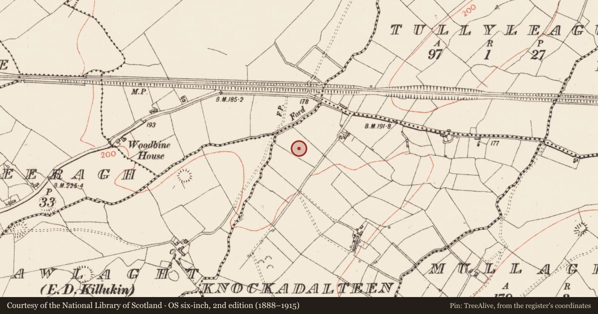 Ordnance Survey six-inch map, 2nd edition (1888–1915) covering the location of Ringfort - rath, Knockadalteen, County Roscommon, with a pin at the register's coordinates