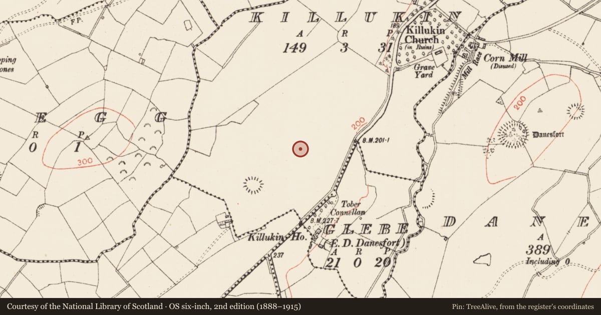 Ordnance Survey six-inch map, 2nd edition (1888–1915) covering the location of Ringfort - rath, Killukin, County Roscommon, with a pin at the register's coordinates