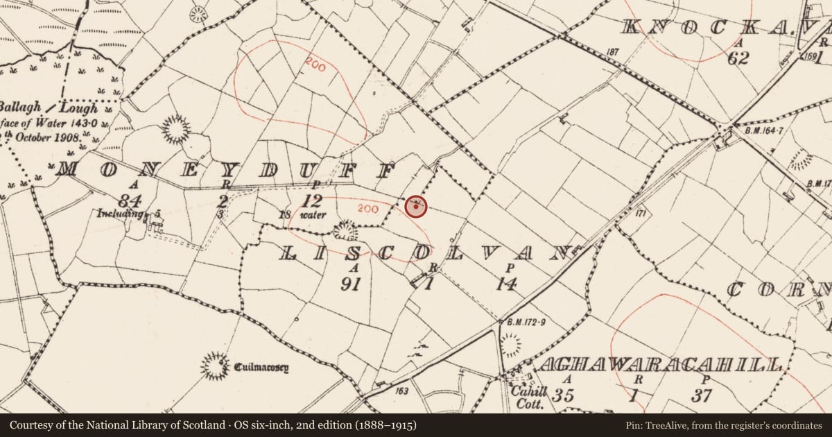 Ordnance Survey six-inch map, 2nd edition (1888–1915) covering the location of Ringfort - rath, Liscolvan, County Roscommon, with a pin at the register's coordinates