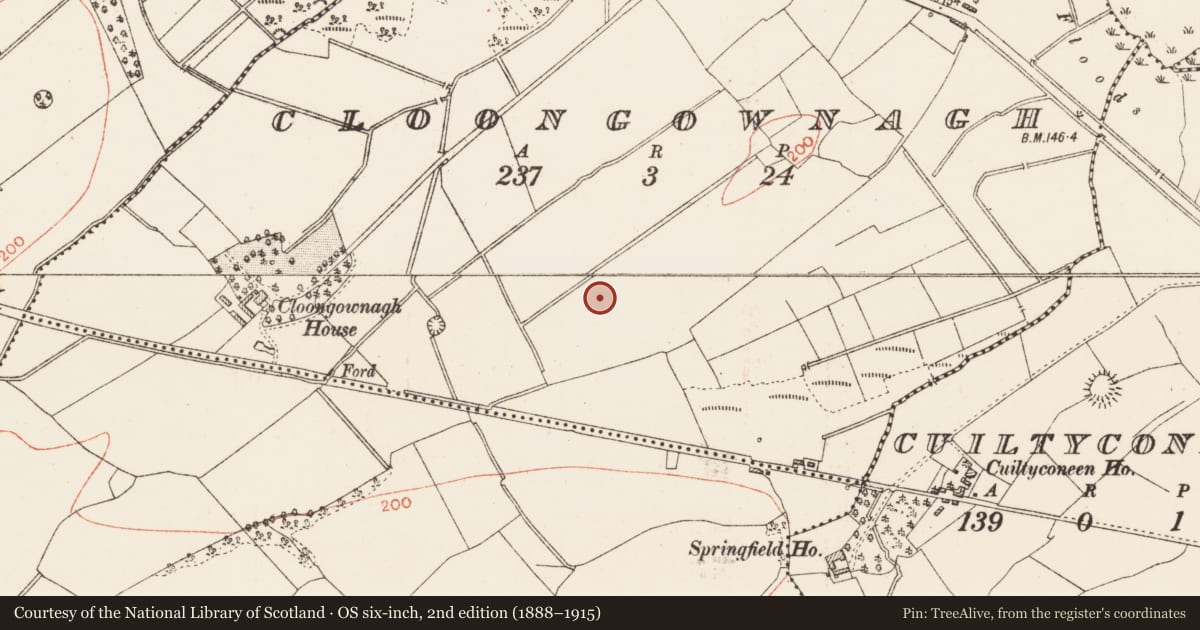 Ordnance Survey six-inch map, 2nd edition (1888–1915) covering the location of Ringfort - rath, Cloongownagh, County Roscommon, with a pin at the register's coordinates