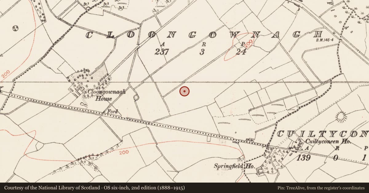 Ordnance Survey six-inch map, 2nd edition (1888–1915) covering the location of Hut site, Cloongownagh, County Roscommon, with a pin at the register's coordinates