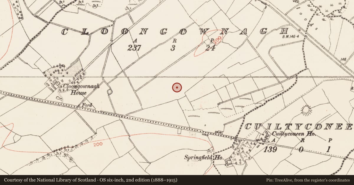 Ordnance Survey six-inch map, 2nd edition (1888–1915) covering the location of Burnt mound, Cloongownagh, County Roscommon, with a pin at the register's coordinates