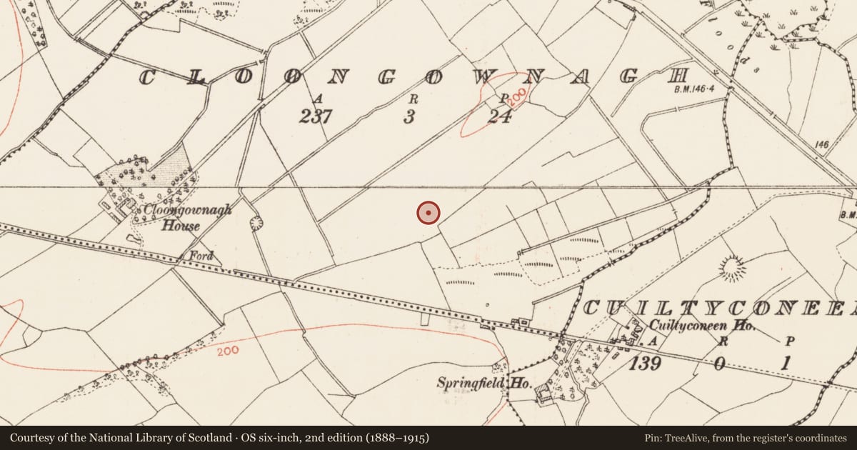 Ordnance Survey six-inch map, 2nd edition (1888–1915) covering the location of Burnt mound, Cloongownagh, County Roscommon, with a pin at the register's coordinates
