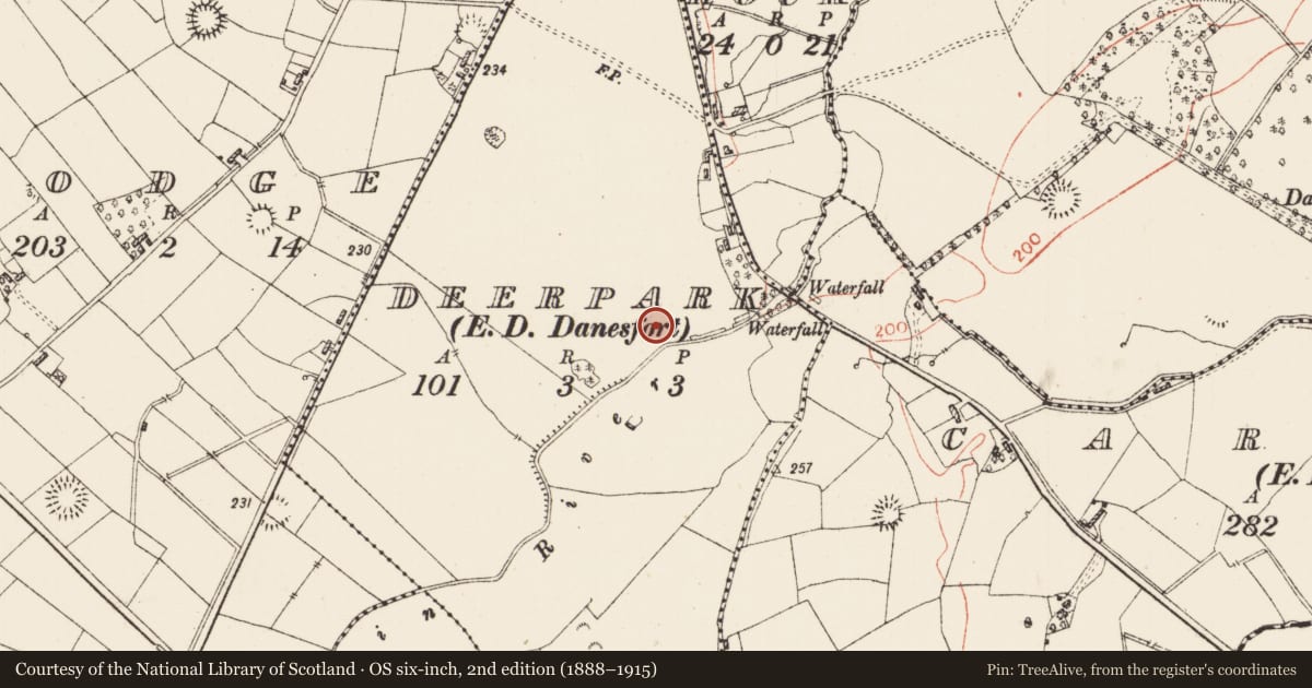 Ordnance Survey six-inch map, 2nd edition (1888–1915) covering the location of Mill - unclassified, Deerpark, County Roscommon, with a pin at the register's coordinates
