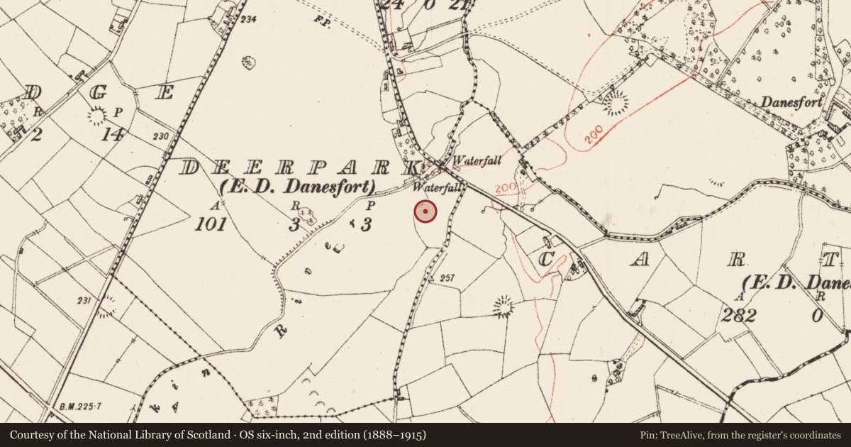 Ordnance Survey six-inch map, 2nd edition (1888–1915) covering the location of Enclosure - large enclosure, Deerpark, County Roscommon, with a pin at the register's coordinates