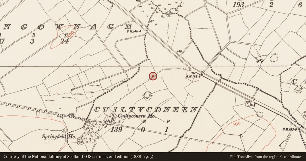 Ordnance Survey six-inch map, 2nd edition (1888–1915) covering the location of Burnt mound, Cuiltyconeen, County Roscommon, with a pin at the register's coordinates