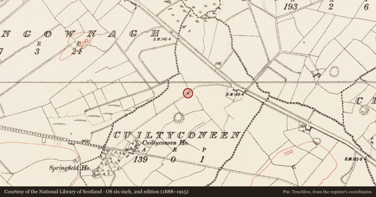 Ordnance Survey six-inch map, 2nd edition (1888–1915) covering the location of Burnt mound, Cuiltyconeen, County Roscommon, with a pin at the register's coordinates